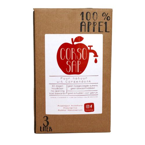 APPELSAP 3L CORSO