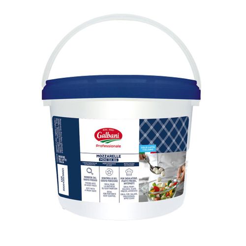 MOZZARELLA MINI BOLLETJES +-125ST 1KG GALBANI 