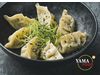 EF GYOZA DUMPLING EDAMAME CHAMPIGNON 20ST - 400G