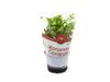 AGF KORIANDER POT