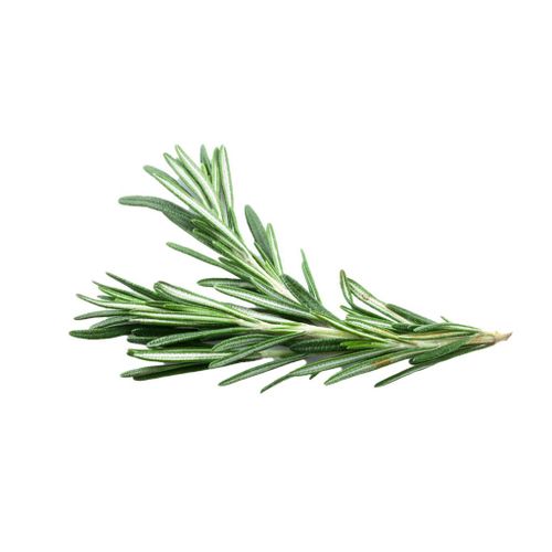 AGF ROZEMARIJN 200G